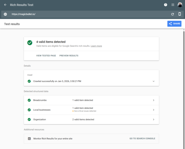 Google Rich Text Verification Results
